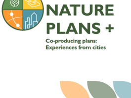 Co producing plans experiences from cities
