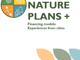 financing models experiences with cities