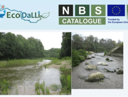 NbS Catalogue - EcoDaLLi