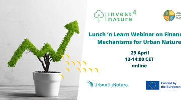 Webinar Lunch and Learn