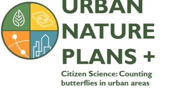 Urban Nature Plans + counting butterflies