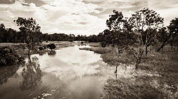 Wetland waterway 