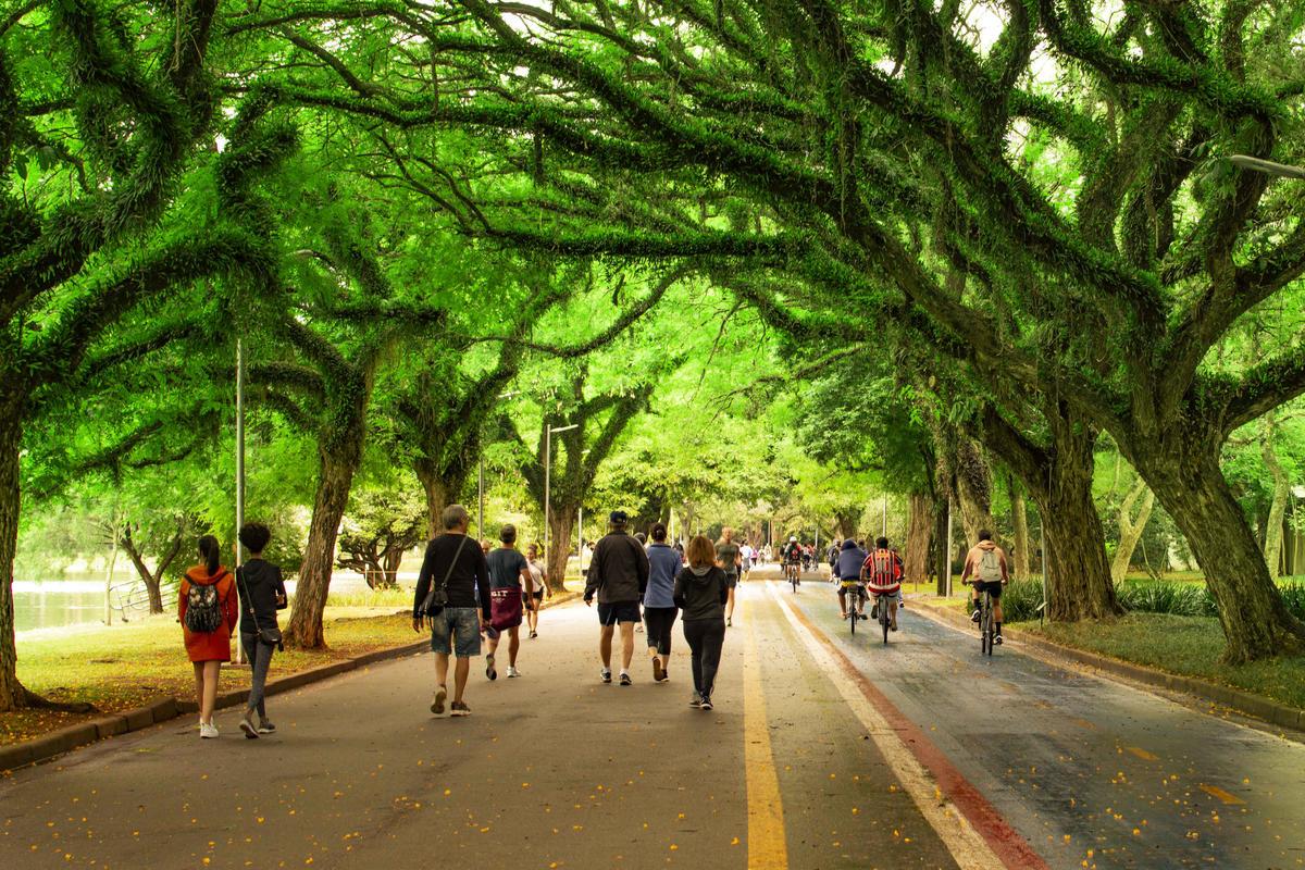 Ibirapuera park in Sao Paulo, Brazil