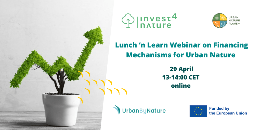 Lunch and Learn
