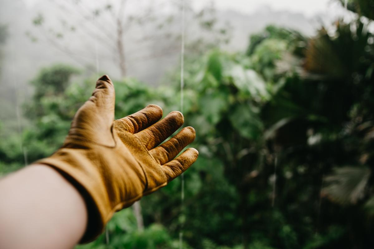 Tena, Ecuador A hand stretches out into the rain