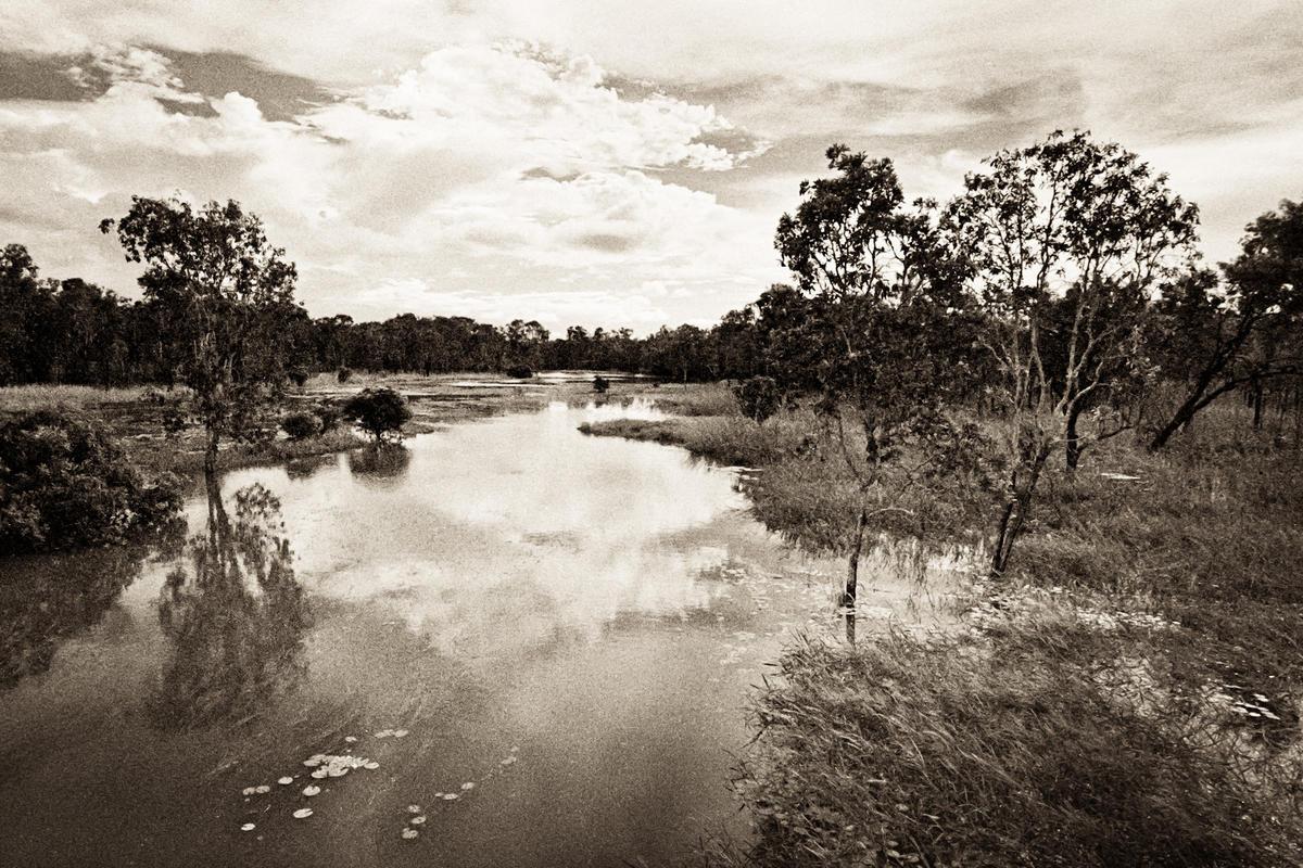 Wetland waterway