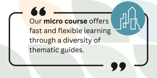 our micro course