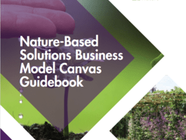 Cover page of the NBS Business Model Canvas Guidebook