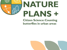 Urban Nature Plans + counting butterflies