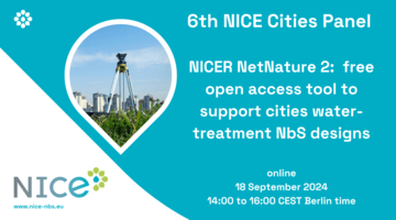 6th NICE Cities Panel