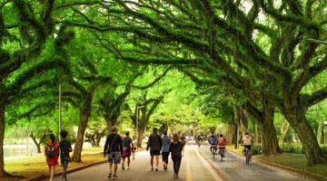 Ibirapuera park in Sao Paulo, Brazil