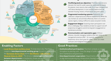 Mannheim infosheet pic