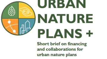UBN short brief on financing and unp