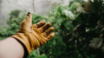 A hand stretches out into the rain