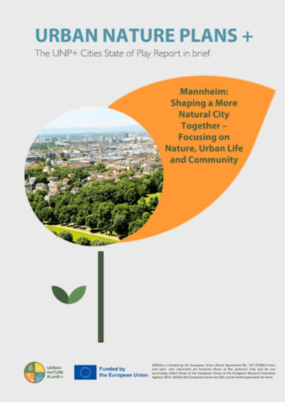 Mannheim state of play