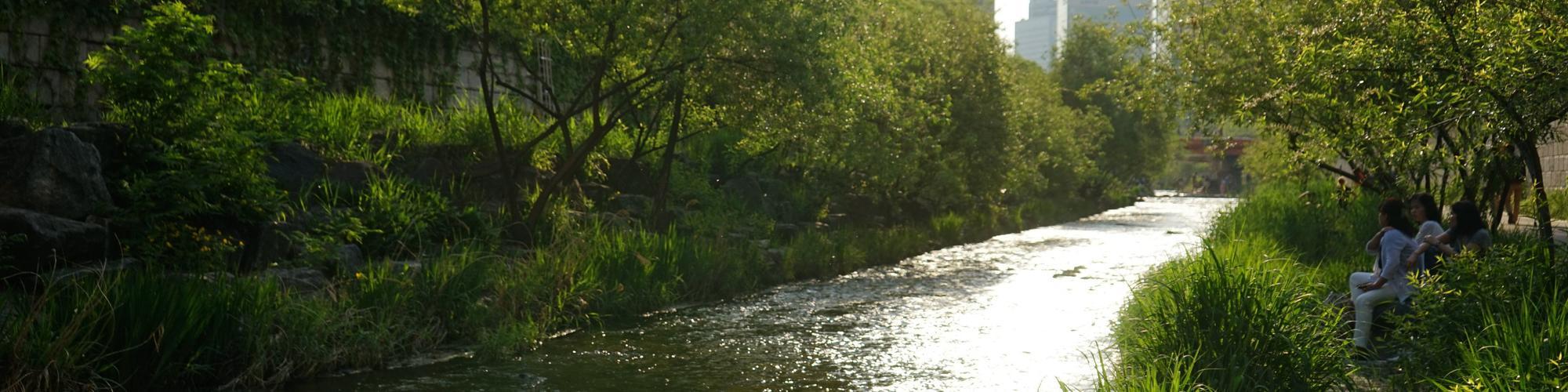 Catchment-management