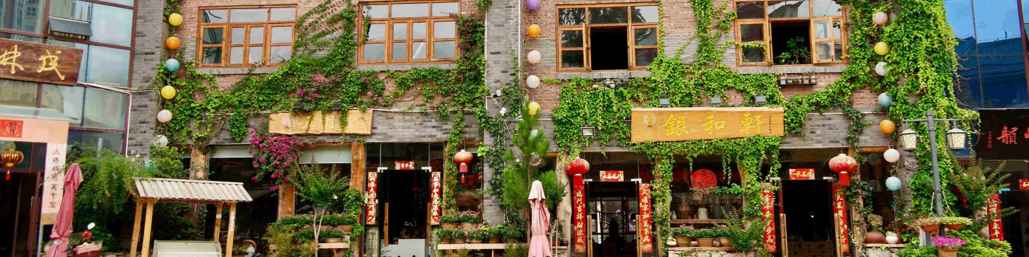 Building in China with green facade
