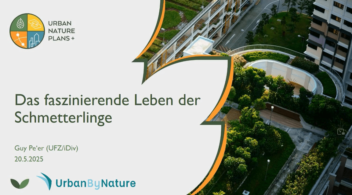 Das faszinierende Leben der Schmetterlinge