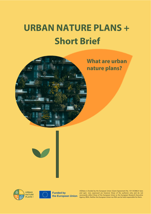 Short brief