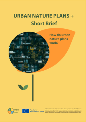Short brief
