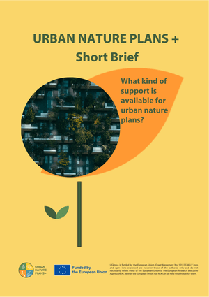 Short brief