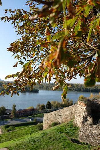 Belgrade