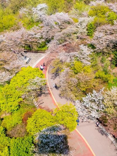 Park in Seoul. Korea