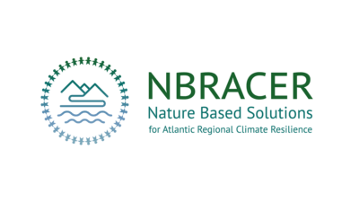 nbracer