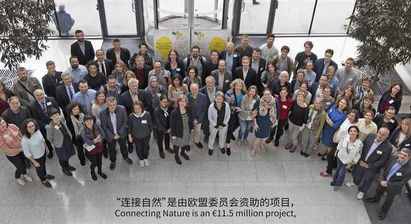 Ubn china webinar 1