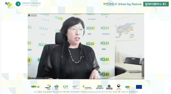 Screenshot of UbN Korea Webinar #1